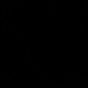 Meet your Posher, Bridget